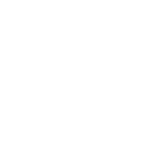 web con wordpress