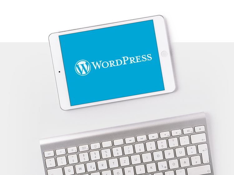 página web con wordpress