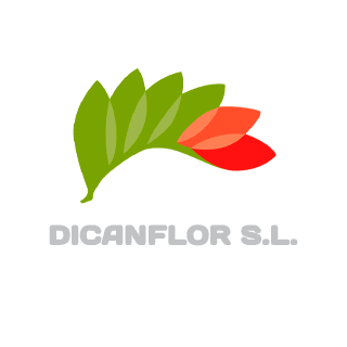 Dicanflor - Diseño de Catálogo Online de Flor cortada