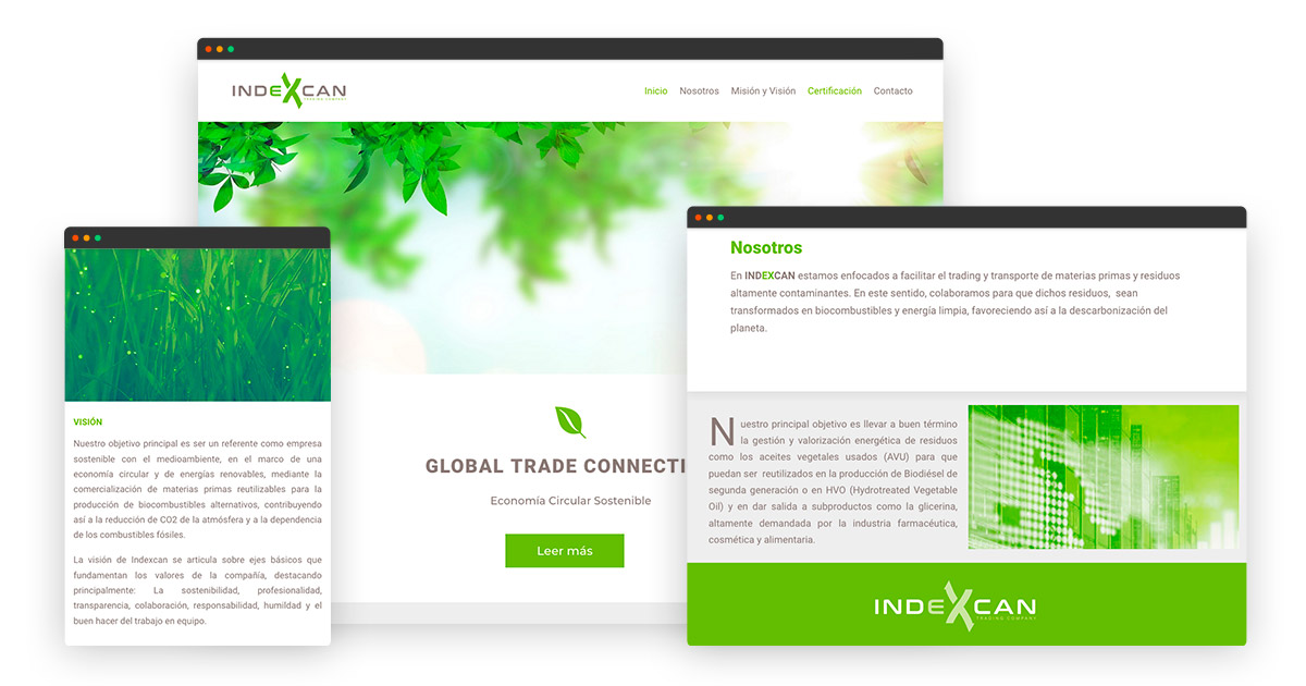 diseño web en WordPress para Indexcan