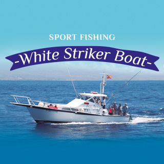 White Striker - Diseño Web Gran Canaria