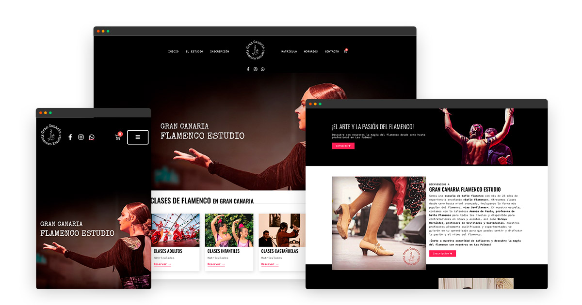Desarrollo web en Las Palmas