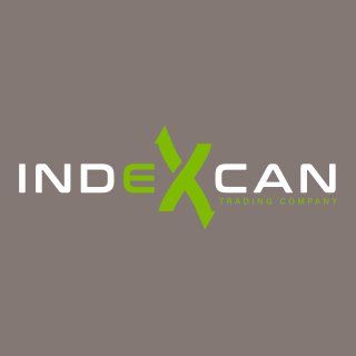 Diseño web en WordPress y logotipo  - INDEXCAN